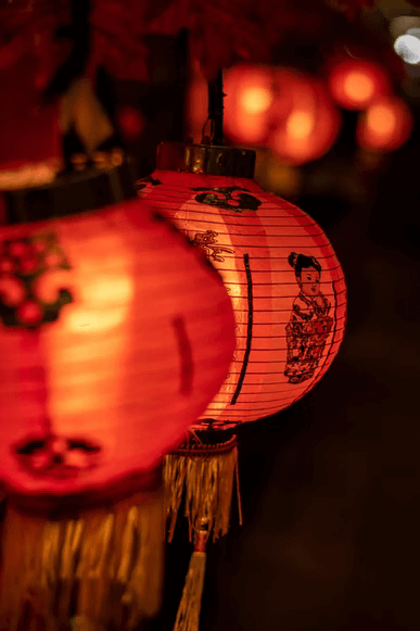 A close-up of a Lunar New Year lantern, decorated with seasonal imagery. 
