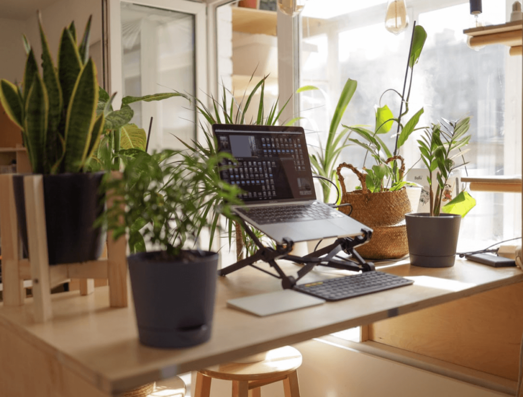 A work-from-home set up with a variety of plants surrounding the laptop, making for an inviting space to get some work done.